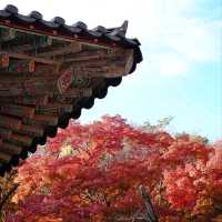 韓國大邱_Bulguksa 불국사 佛國寺_韓國國寶502號