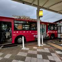 Beppu Hot Springs Hells Tour