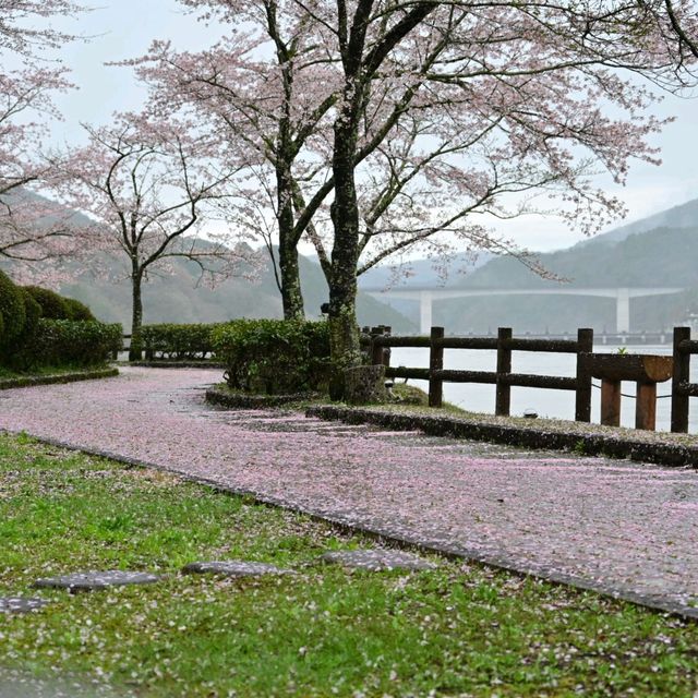 日本中部賞櫻 - 惠那峽