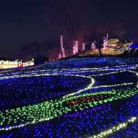東京ドイツ村・ウィンターイルミネーション🎄