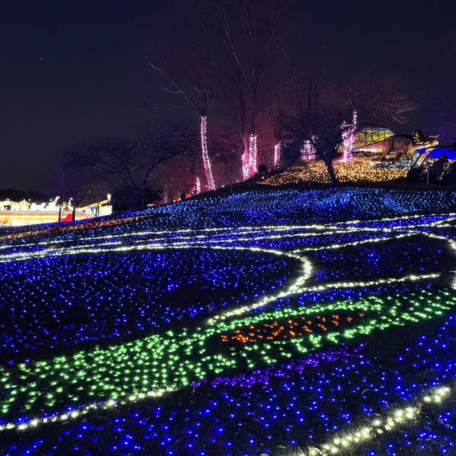 東京ドイツ村・ウィンターイルミネーション🎄