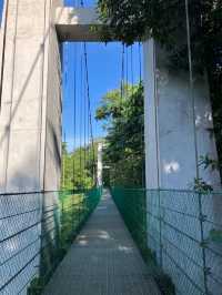 Escape to Nature: Hiking Bukit Gasing's Serene Trails