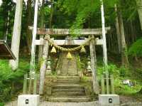 【岐阜県】モネの池として一躍話題に！根道神社の無もなき池