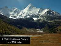 Best Autumn Viewing Experience 1/3 [Luorong Pasture, Yading Nature Reserve]