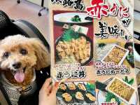 淡路島旅行🐕‍🦺ペットと行けるお寿司屋さんへ🍣