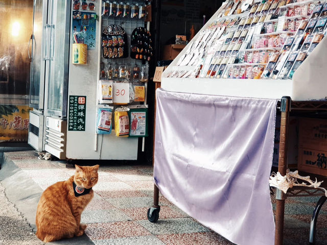 ปล่อยโคมลอยย่านเมืองเก่าที่  Shifen Old Street