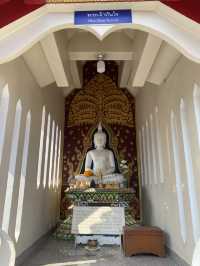 【チェンマイ観光】隠れた静寂の寺院「ワット ダッパイ」🌼
