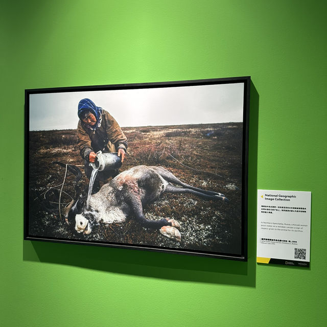Stunning National Geographic photo gallery in Dalian