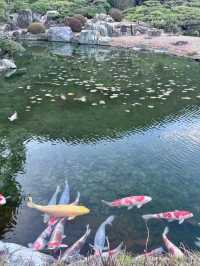 四國必訪☺️粟林公園🥰日本名園之一