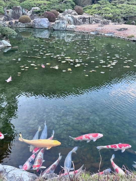 四國必訪☺️粟林公園🥰日本名園之一