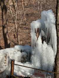 대전에 있는 겨울왕국❄️