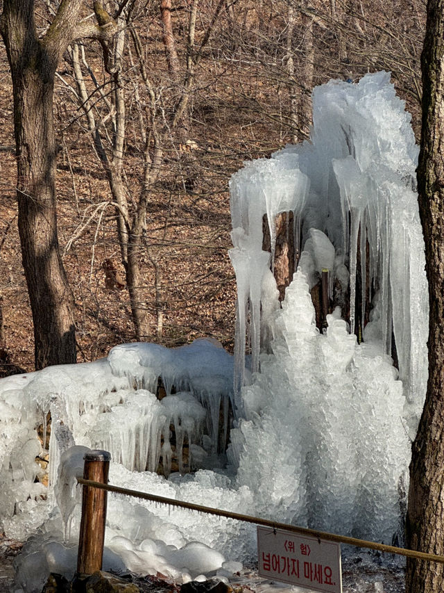대전에 있는 겨울왕국❄️