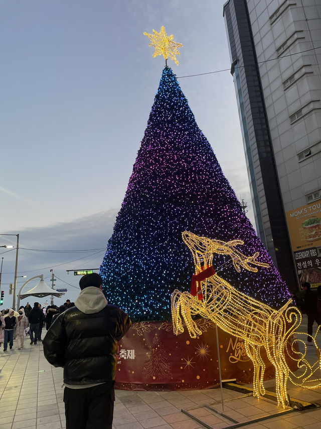 겨울의 해운대 겨울에만 볼 수 있는 해운대빛축제 🎄✨