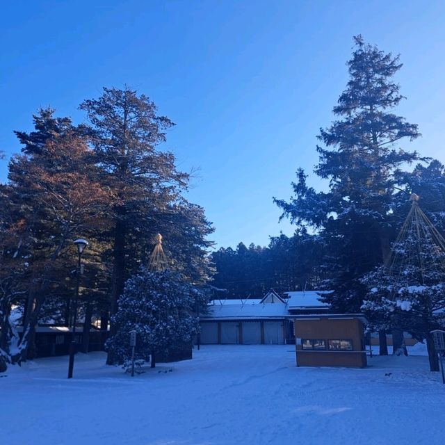 北海道旅遊😍北海道神宮🥳品嚐神宮茶屋馳名牛乳雪糕和福餅😋