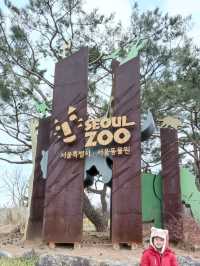 首爾親子遊 - 首爾動物園