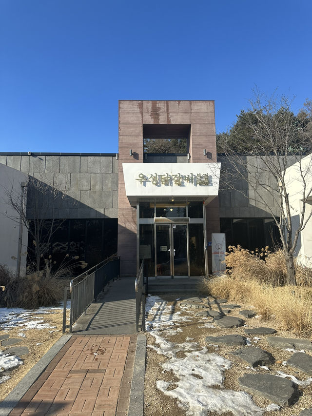 ❄️ 겨울철 별미 ❤️ 춘천의 따끈한 닭갈비 맛집투어 여행지 추천