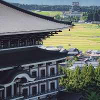 【福井】圧倒的スケール🏯越前大仏