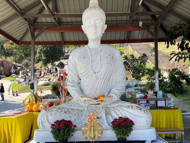 วัดป่าพุทธชินวงศาราม (ม่อนพญานาค) พะเยา
