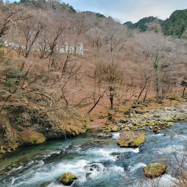 Exploring the Grandeur of Nikko Toshogu Shrine