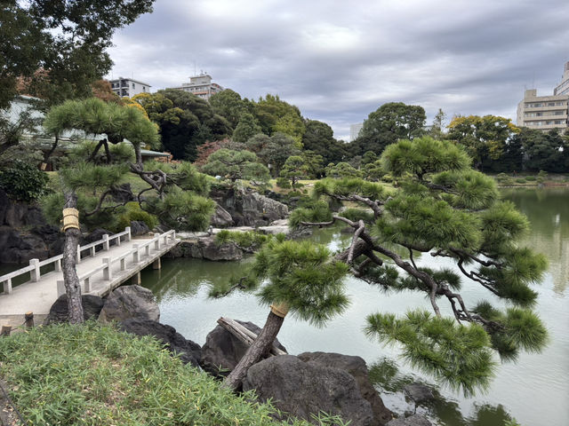 東京 - 清澄庭園的夢幻之旅 🌸