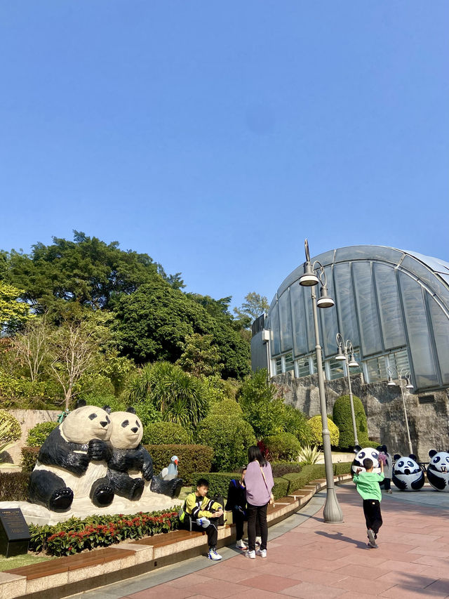 🐼😍澳門大熊貓館｜澳門親子行程景點推薦🧑‍🧑‍🧒‍🧒🧍‍♂️🧍‍♀️