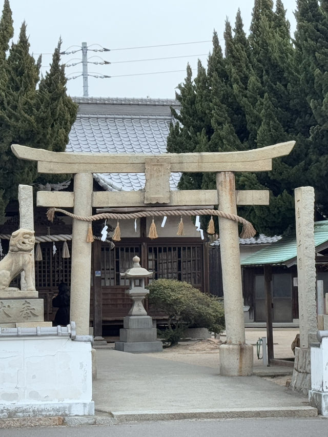 四國必到直島🥰藝術之島一日遊🙆🏻‍♀️