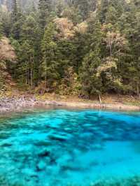 🏞️玩轉九寨溝&黃龍｜阿壩藏族羌族自治州