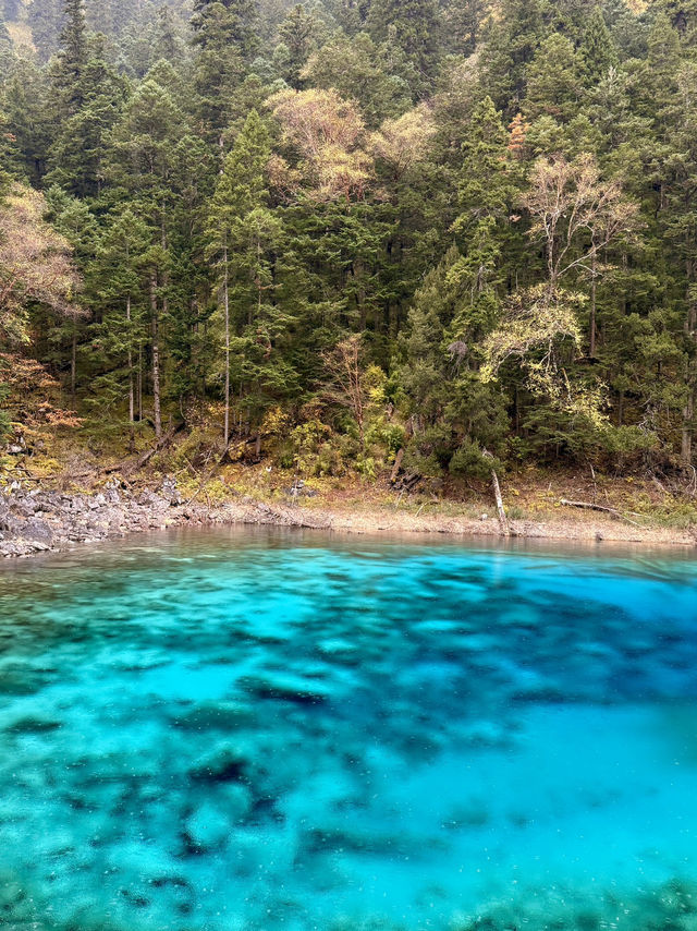 🏞️玩轉九寨溝&黃龍｜阿壩藏族羌族自治州