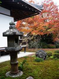  🍁 秋の源光庵で心に響くひとときを 🍂