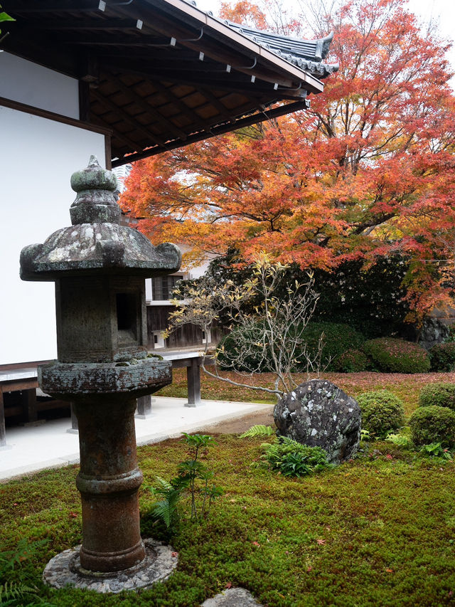  🍁 秋の源光庵で心に響くひとときを 🍂