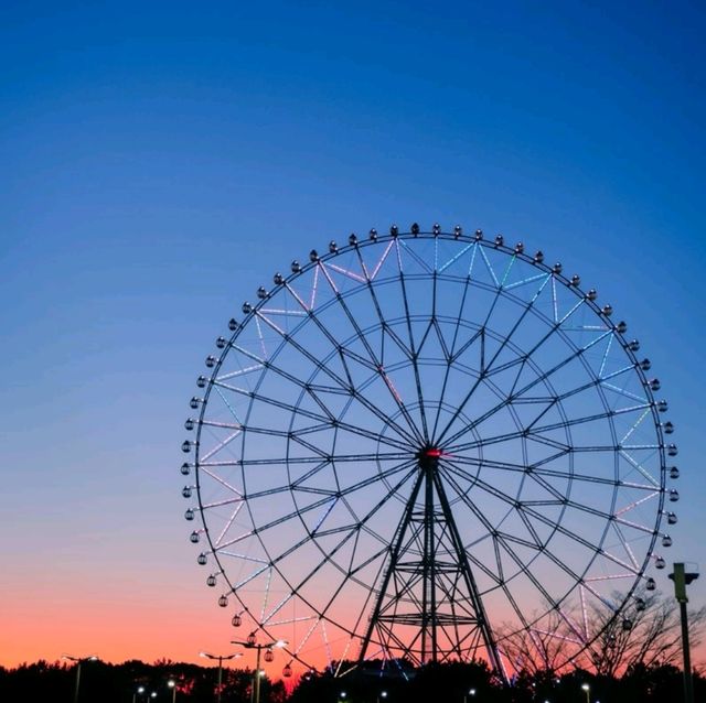 水仙が綺麗なデートスポット💐葛西臨海公園