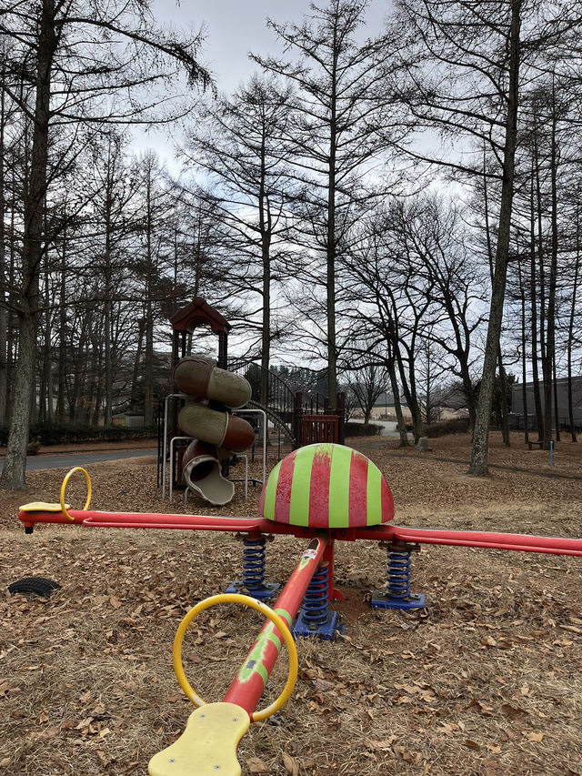 【御代田町🇯🇵】駐車場無料！遊具もあり広々遊べる公園⛲️