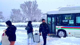 Snow in Japan