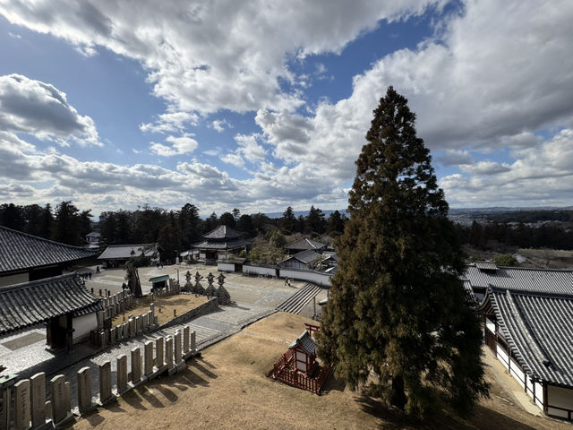 🕊️東大寺：千年古寺的莊嚴與感動🕊️