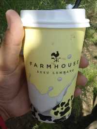 Quaint Charm at Farmhouse Susu Lembang