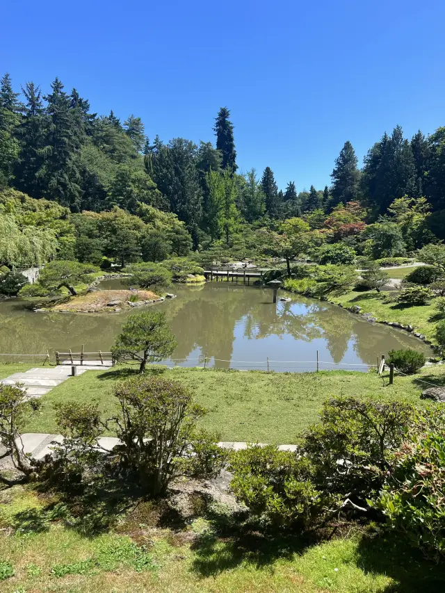 A stunning Japanese Garden in Seattle!
