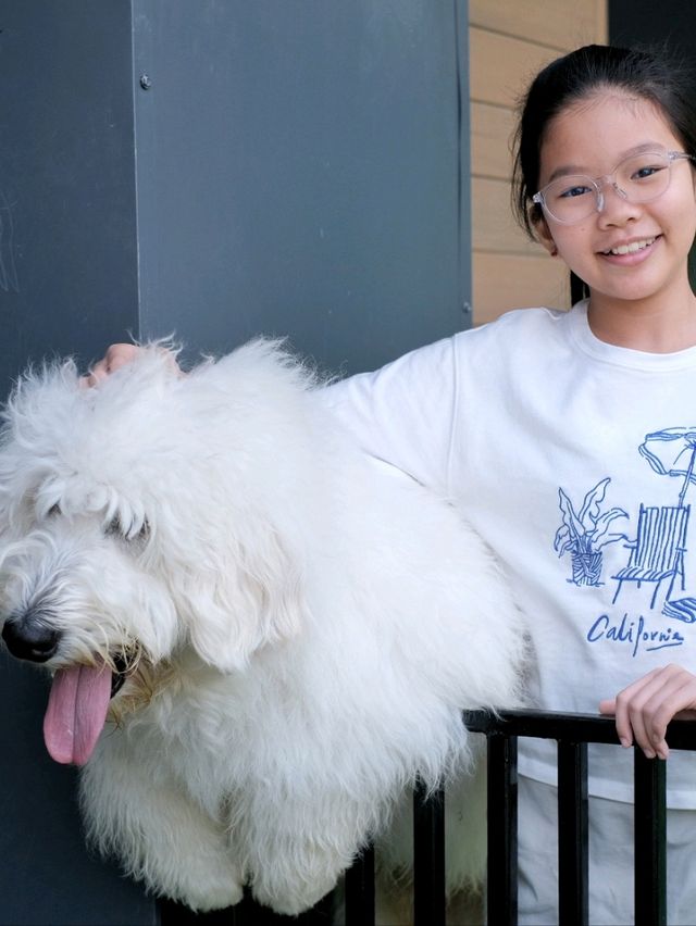 ถูกใจคนรักหมาแมว Zucca - The Pet Sanctuary & Cafe