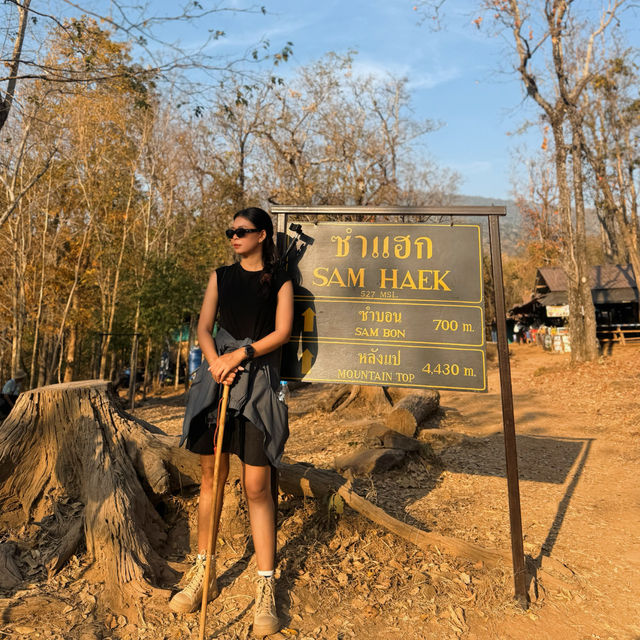 ภูกระดึงตึงทั้งตัว ⛰️