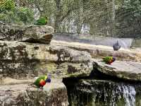 Chessington World of Adventures