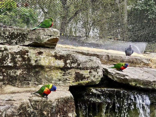 Chessington World of Adventures