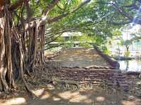 สะพานป่าดินสอ: มรดกโบราณแห่งเมืองกรุงเก่า