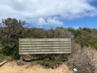 A Whisker Away from Paradise: Cape Schanck Wonders