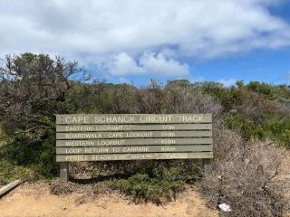 A Whisker Away from Paradise: Cape Schanck Wonders