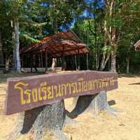ร่องรอยแห่งประวัติศาสตร์ ณ ภูหินร่องกล้า