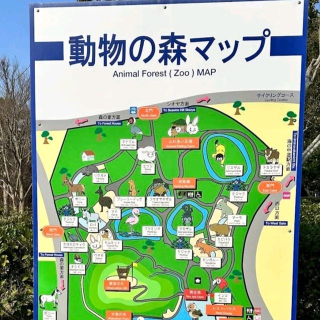 福岡好去處