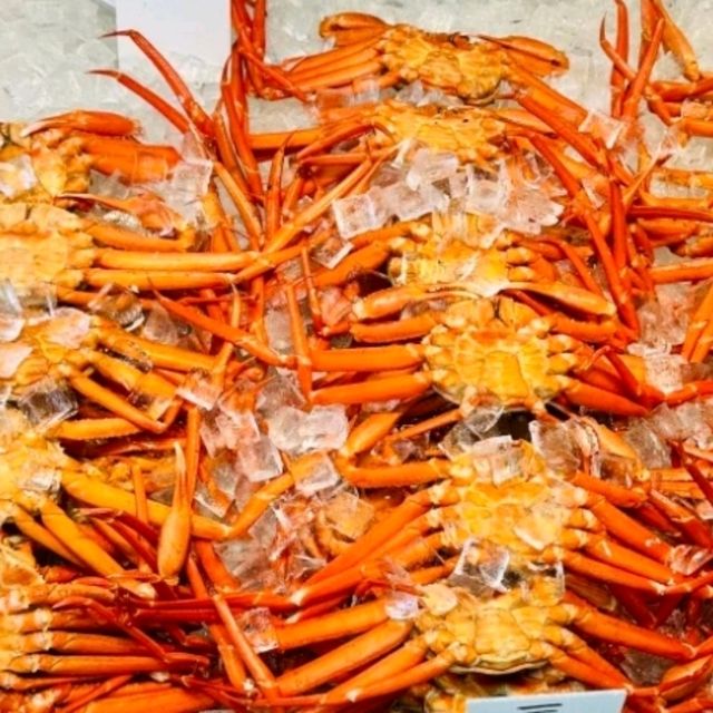 【寺泊魚市場朝市競標體驗】