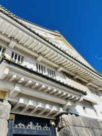 🏯⚔️ ✅大阪城 攻略ガイド – 歴史と絶景を楽しむ完全プラン！