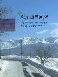 비에이 필수 여행지를 알려드려요!