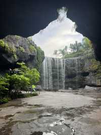 Bird Paradise Singapore: A Must-Visit for Nature & Wildlife Lovers