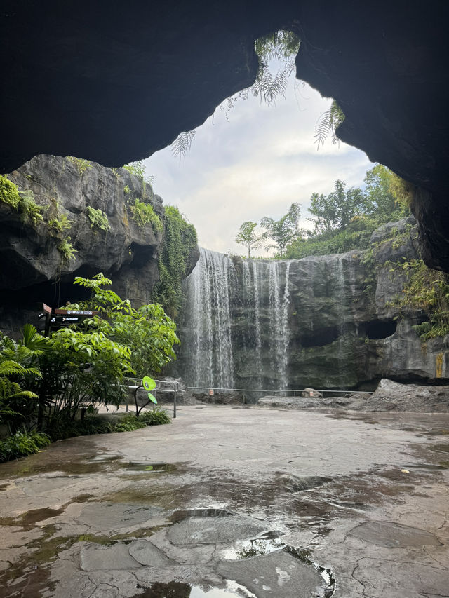 Bird Paradise Singapore: A Must-Visit for Nature & Wildlife Lovers